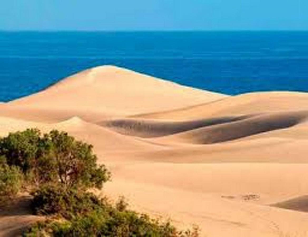 Bungalow Duna Flor Maspalomas 마스팔로마스 외부 사진